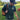 Armory Disc Golf x Adidas Polo | A550 Green Oxide Camo