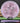 Streamline Echo Neutron Purple/Black/Silver 177.9g