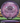 Streamline Jet Proton purple 177.3g