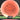 Streamline Discs Fission Trace