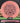 Thought Space Athletics Praxis Nerve Pink/Black 173.3g