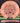Thought Space Athletics Praxis Nerve Pink Swirl/Black 173.6g