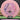 Streamline Echo Neutron Pink/Sunset 178.3g
