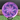 Discraft - Paul McBeth / Paige Pierce Collab 1060 Anax
