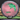 Innova Proto Glow Halo Star Mamba – Juliana Korver Tour Series (2026)