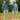 Armory Disc Golf UPF 50+ Sun Hoodie