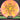 Axiom Discs Cosmic Neutron Crave