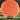 Axiom Discs Neutron Envy