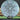 Axiom Discs Cosmic Neutron Insanity