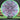 Axiom Discs Cosmic Neutron Insanity