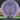 Axiom Electron Proxy