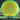 Axiom Tantrum – Stable-Overstable Distance Driver