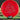 Axiom Discs Neutron Tempo