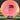 Axiom Discs - Simon Lizotte -  Fission Time Lapse Distance Driver