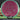Axiom Discs Neutron Vanish