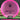 Discmania C Line MD5