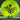 Discraft FuZed line Buzzz (Buzz Saw)