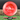 Discraft Captain's Caliber - First Look