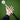 Max Disctance Max-Stick 2 Metal Disc Golf Retriever