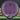 MVP Discs Energy