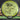 MVP Proton Octane