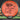 MVP Proton Octane