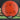 MVP Disc Sports Phase