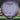 MVP Proton Photon