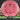 MVP Discs Signal