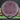 MVP Discs Teleport