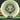 Mint Discs Nocturnal Alpha