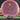 Mint Discs Eternal Lobster