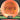 Mint Discs Lobster – 3rd Run Sublime