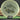 Mint Discs Nocturnal Flex Mustang