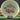 Mint Discs Nocturnal Flex Mustang