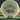 Mint Discs Nocturnal Flex Mustang
