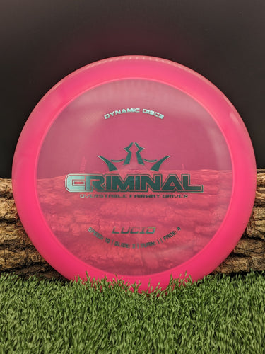 Dynamic Disc Criminal