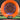 Prodigy Disc Feedback