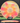 Armory Disc Golf Shop Used Disc Golf Discs Innova Champion Teebird TieDye/gold 9/10 ink 175.2g