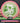 Axiom Aspect Glow/Pink/Green/White 173.5g