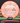 Axiom Crave Cosmic Neutron PLC rose & red 175.3g