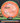 Axiom Crave Proton PLC orange-aqua 167.8g