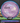 Axiom Crave Proton PLC purple-blue 165.4g
