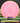 Axiom Envy Fission hot pink-yellow 168.2g