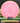 Axiom Envy Fission hot pink-yellow 168.2g