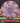 Axiom Envy Neutron Cosmic grey pink-red 169g