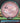Axiom Hex Proton Dark Pink/Teal/Black/Silver 172.5g