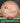 Axiom Hex Proton Orange/Green/Silver/Black 176g