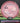 Axiom Hex Proton Pink/Grey Swirl /Black/Silver 177.1g