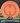 Axiom Proxy Electron Orange/Aqua 172g